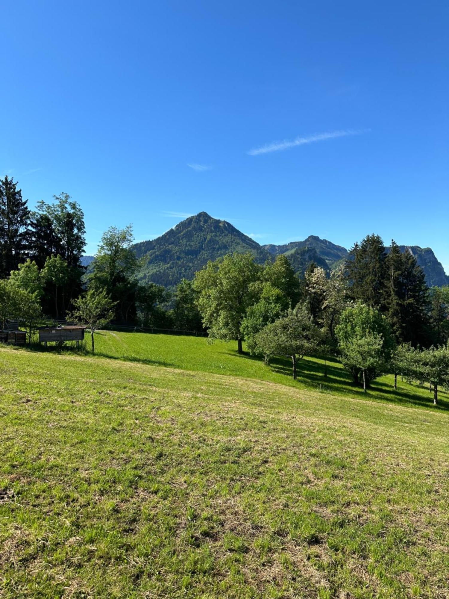 Kraft Tanken In Gruener Oase Mit Grossem Wohnraum Und Riesigem Garten Appartement *